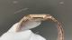 TW Factory Super Clone Patek Philippe Cubitus Brown Ombre Dial Rose Gold Watch 45mm (5)_th.jpg